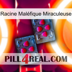 Racine Maléfique Miraculeuse 14